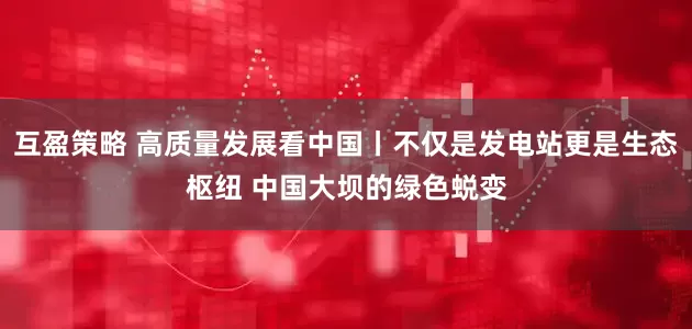 互盈策略 高质量发展看中国丨不仅是发电站更是生态枢纽 中国大坝的绿色蜕变