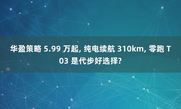 华盈策略 5.99 万起, 纯电续航 310km, 零跑 T03 是代步好选择?